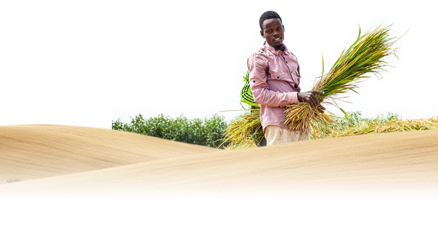 farmer